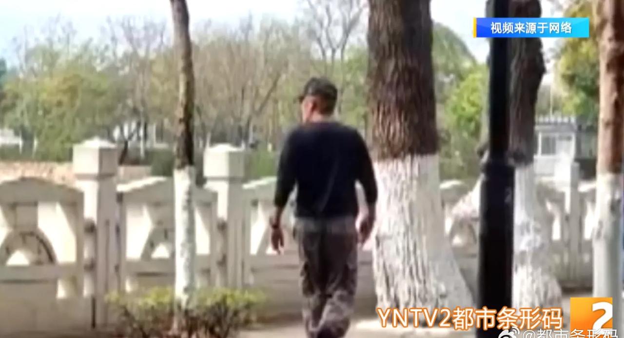 【六岁娃落水他一跃而下网友：这个默默离开的湿透背影真帅】前两天，在蒙自南湖公园