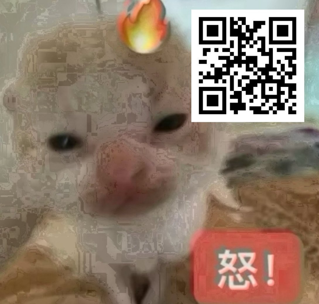 zybl麻烦啦 