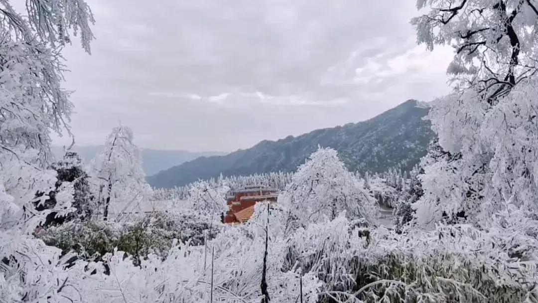 在那桃源胜境隐仙丘，乌界寒枝幻玉柔，仿佛天地间藏着一段神秘的传说。这里，雾裹琼林
