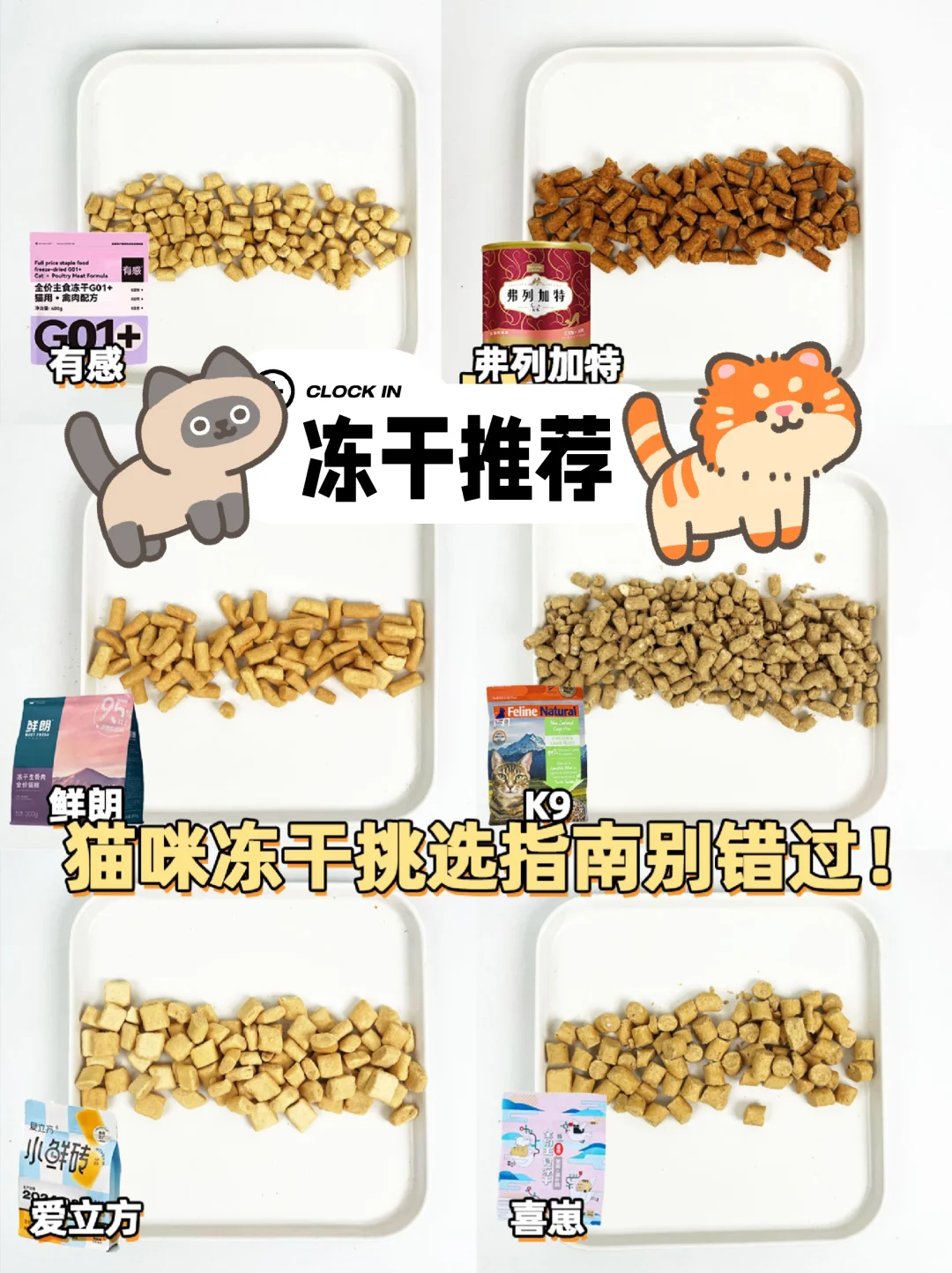 避坑or推荐，猫咪主食冻干挑选指南别错过