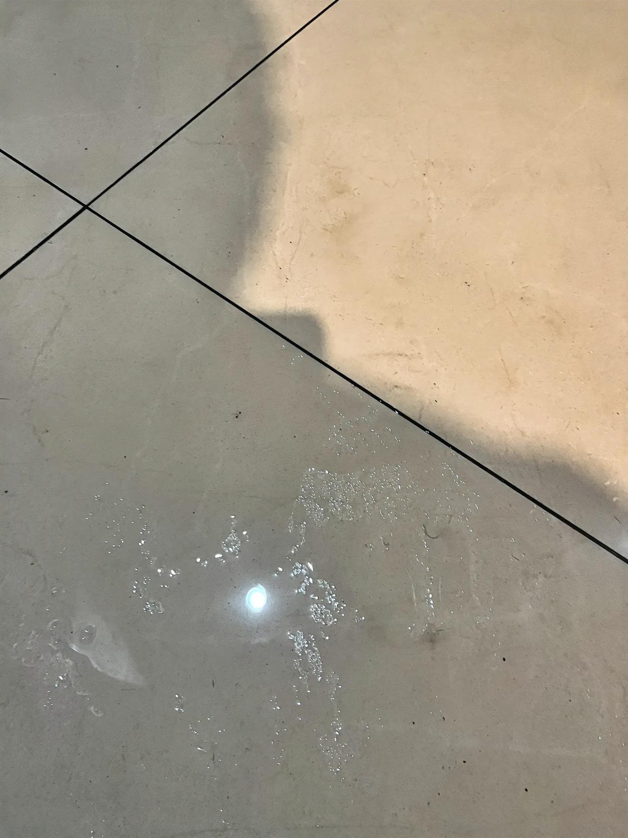 #一张照片证明春天来了#看着楼道满地板的返潮，就知道，南方的春天来了…