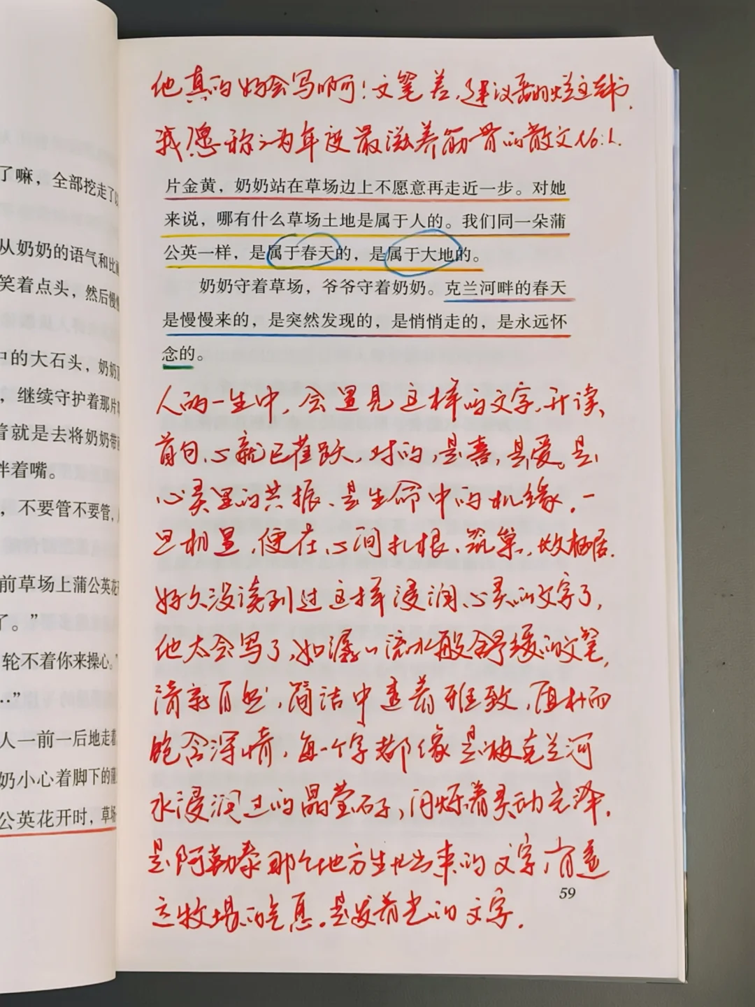 近10年读过最惊艳的散文！天花板级别！！