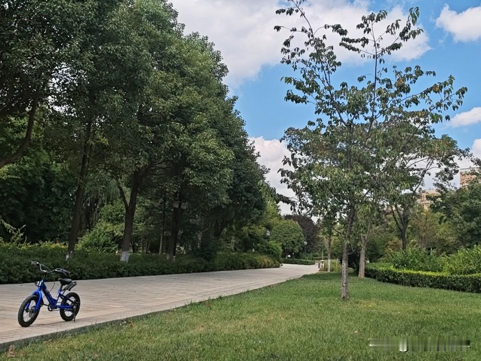 分享你随手拍得风景