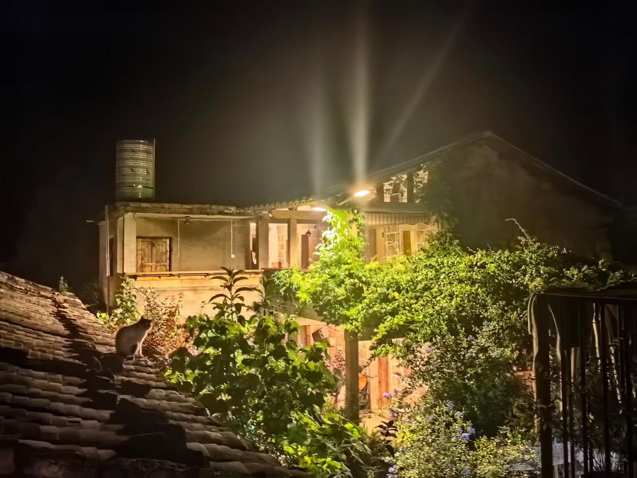 夜深时分，乡下的小院里仅亮着一盏暖灯。

瓦片屋顶上蹲着一只小猫，静静地凝视着满
