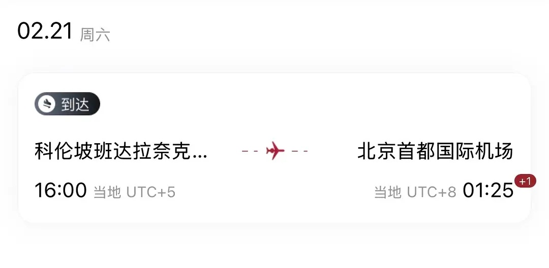 单身无孩有猫的小年轻就爱包机就爱旅游 谁没事跟镭镭那滨江地缚灵一样逃离不开菁菁