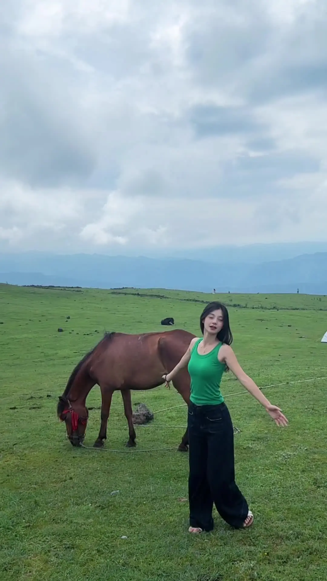 牛马总是向往草原，那是无尽的自由！