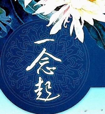 炒股炒到这种“境界”，也是服了自己了。
本周从周一到周四账户红了4天。周盈利将近