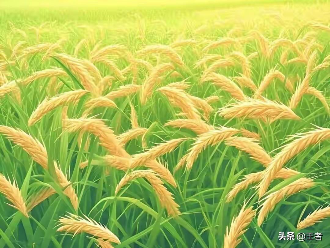 “酒逢知己千杯少”，经典下联当属“话不投机半句多”。
这句下联对仗工整，“话”对