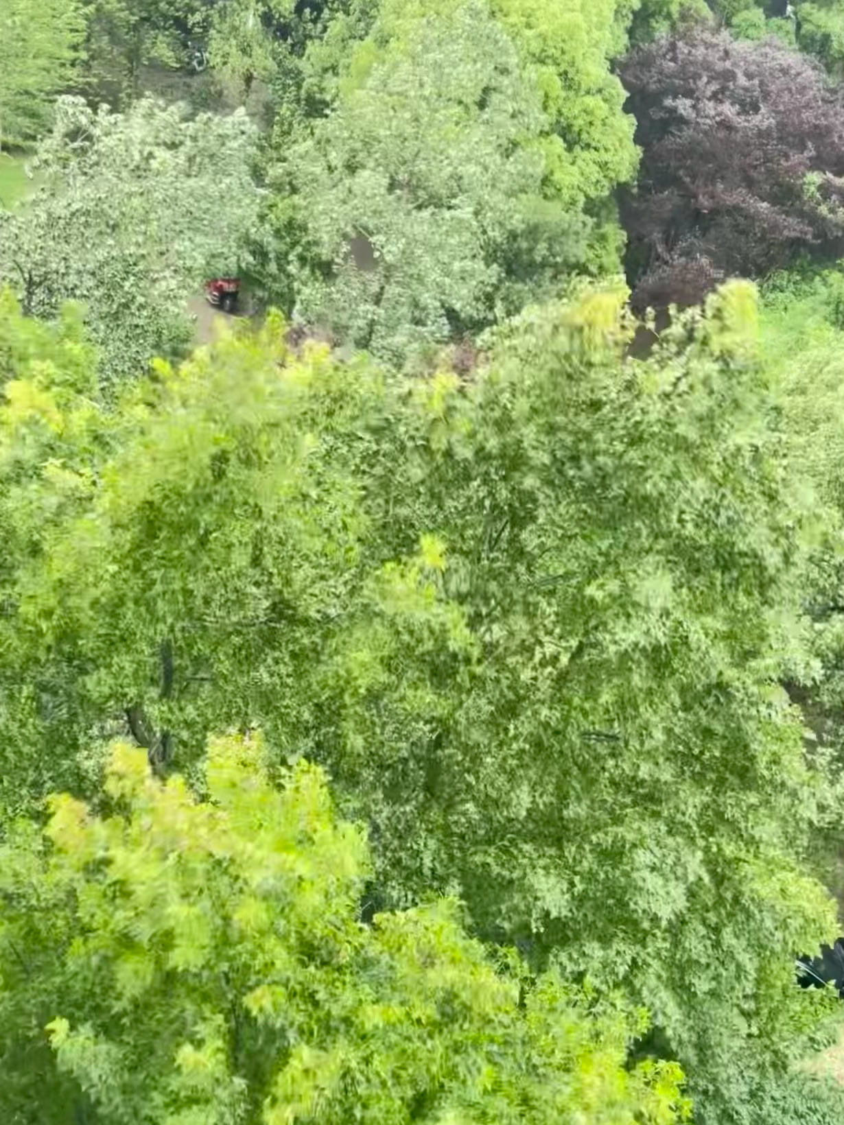 上海台风 风很大没下雨，中午的时候甚至还出了一小会儿太阳 