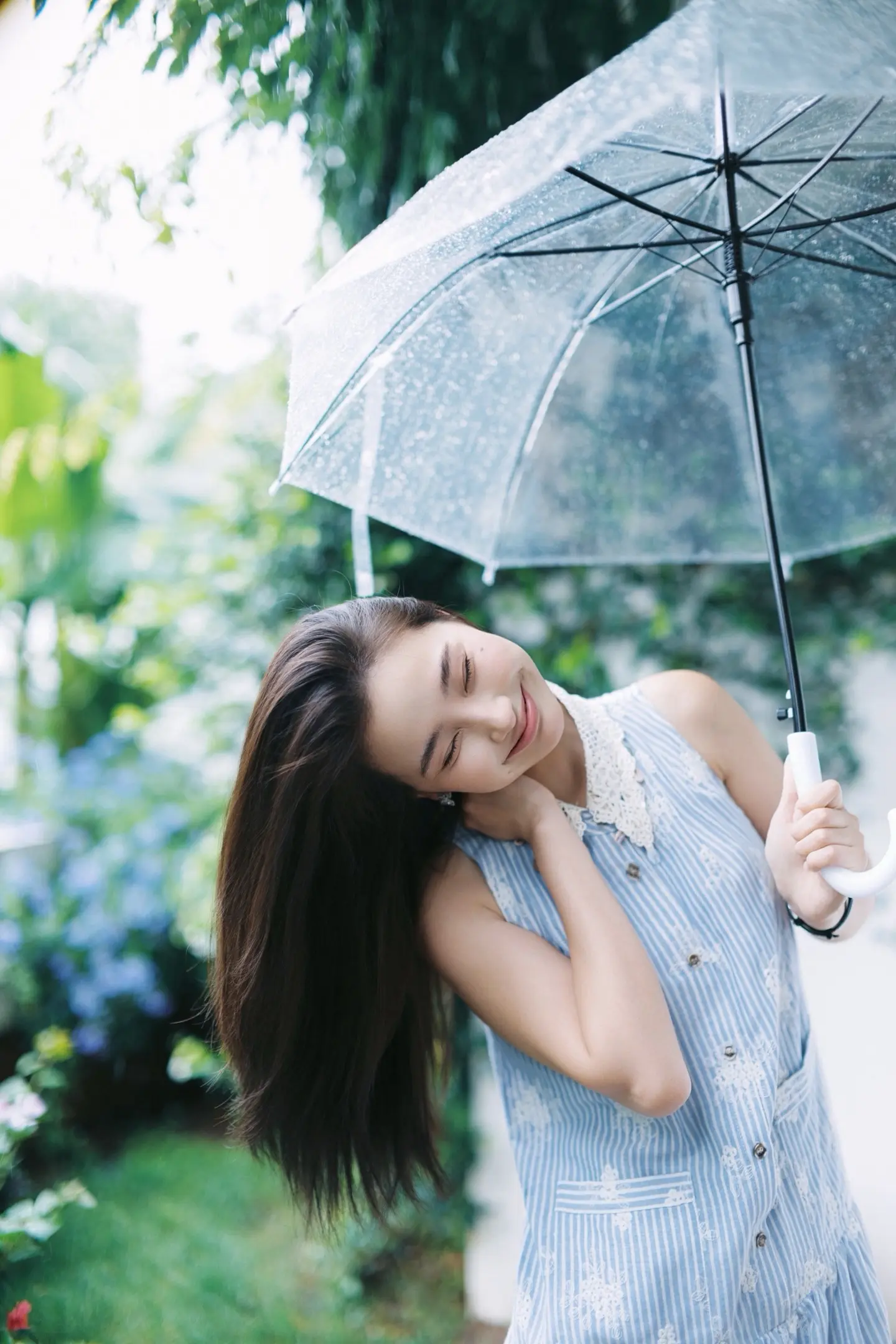 胶片