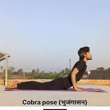 ·蜥蜴式。
·下犬式。
·牛式。
·船式。
·眼镜蛇式。
·蝶式。
·萤火虫式。