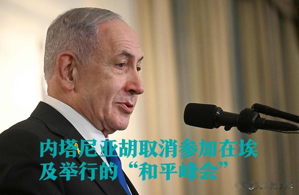 内塔尼亚胡取消参加在埃及举行的“和平峰会”

   据外媒报道当地时间10月13