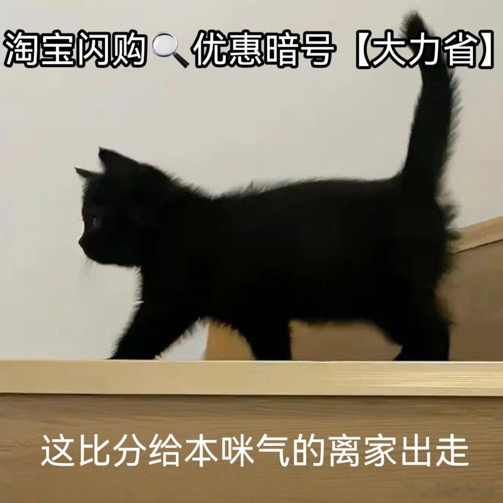 两队十次交手葡萄牙占据绝对上风，十年前淘汰赛旧阵只剩五人仍在阵中。克罗地亚两届大