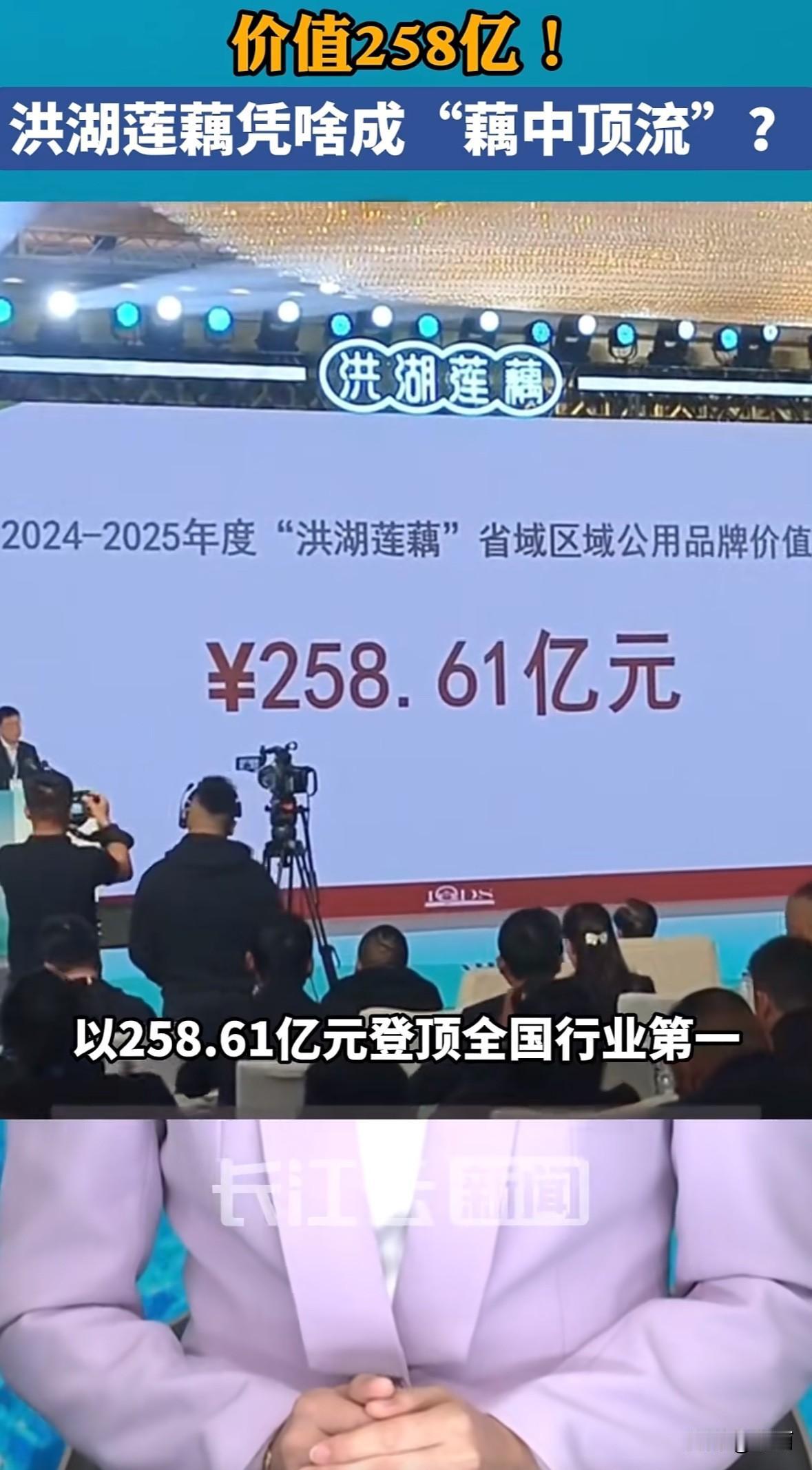11月2日北京发布洪湖莲藕品牌价值258.61亿元，全国藕产业第一。2025年种