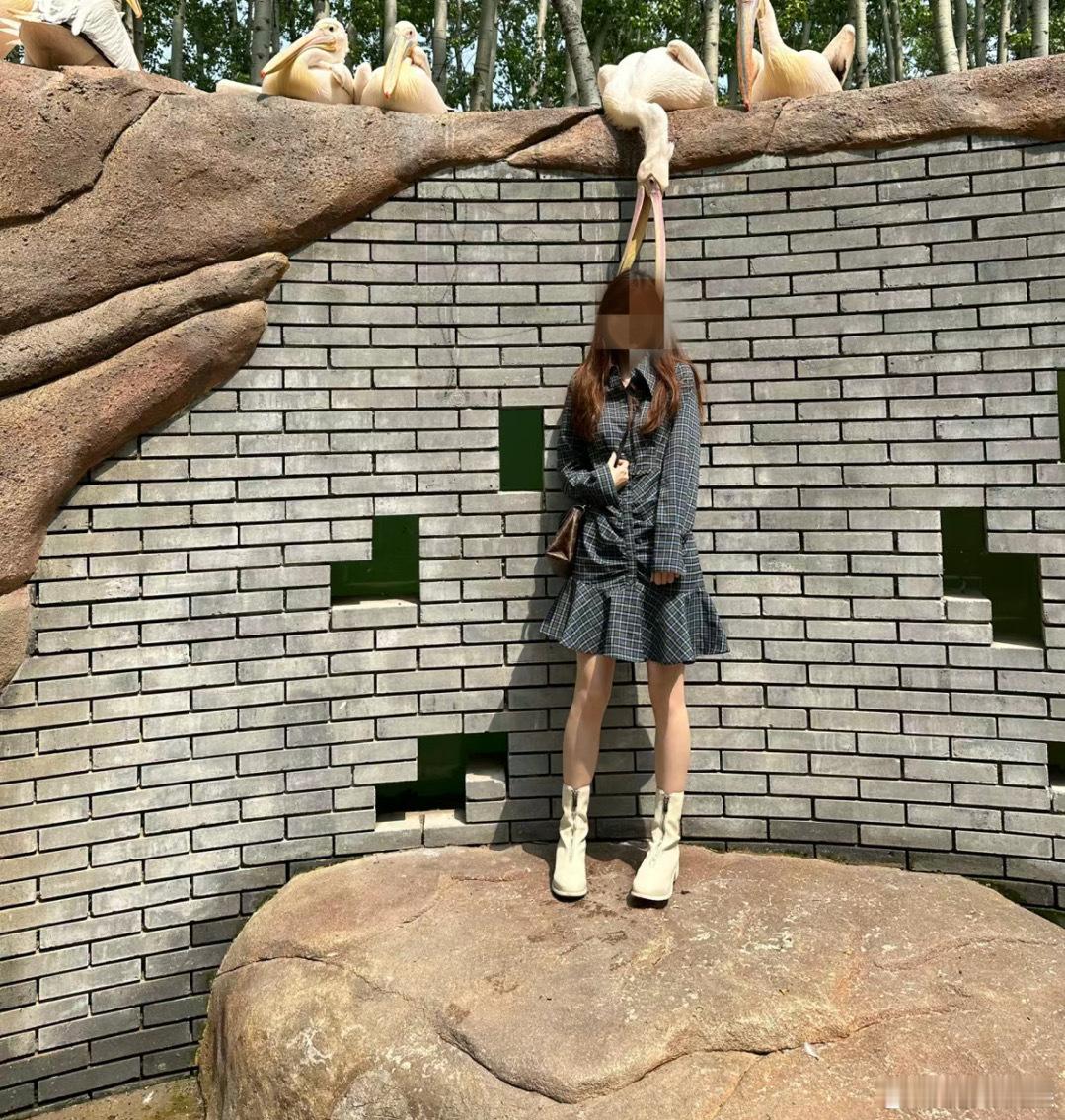 #动物园被鹈鹕灌顶了# “被鹈鹕夹了什么感觉”，“醍醐灌顶”[求饶] ​​​