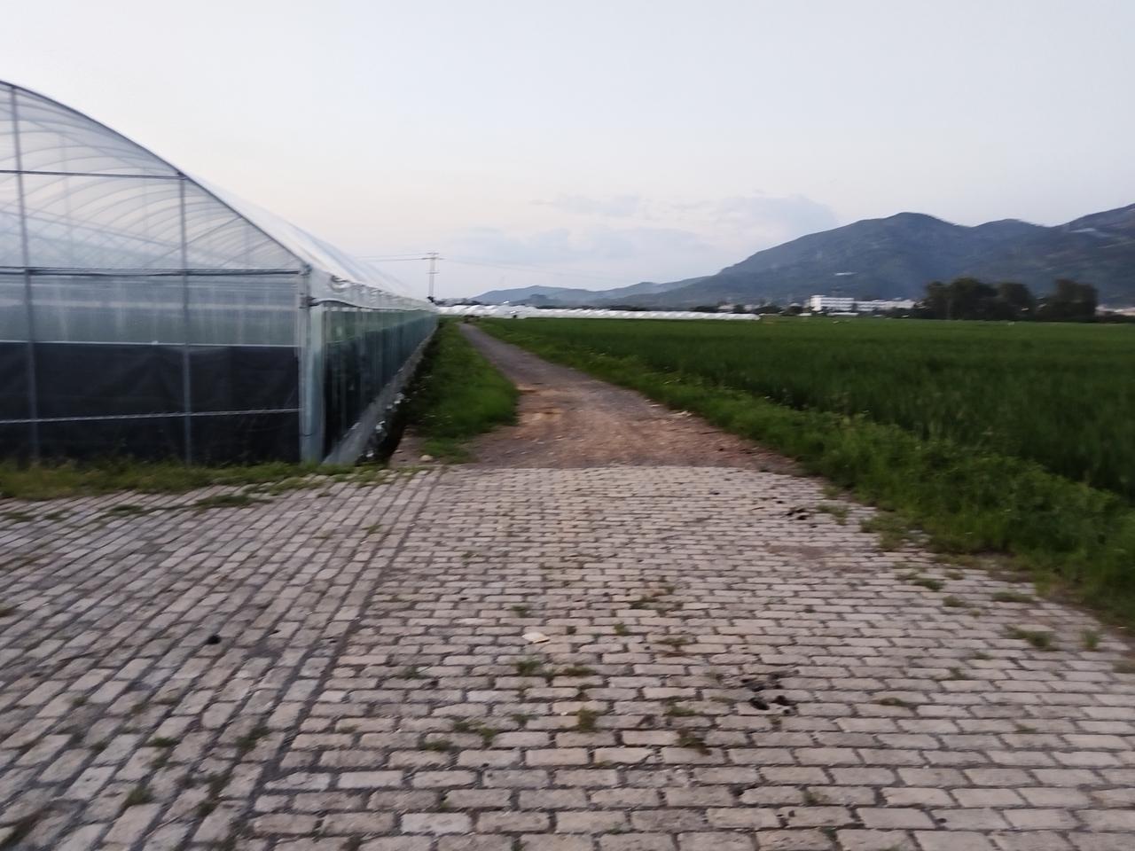 通往北面的道路