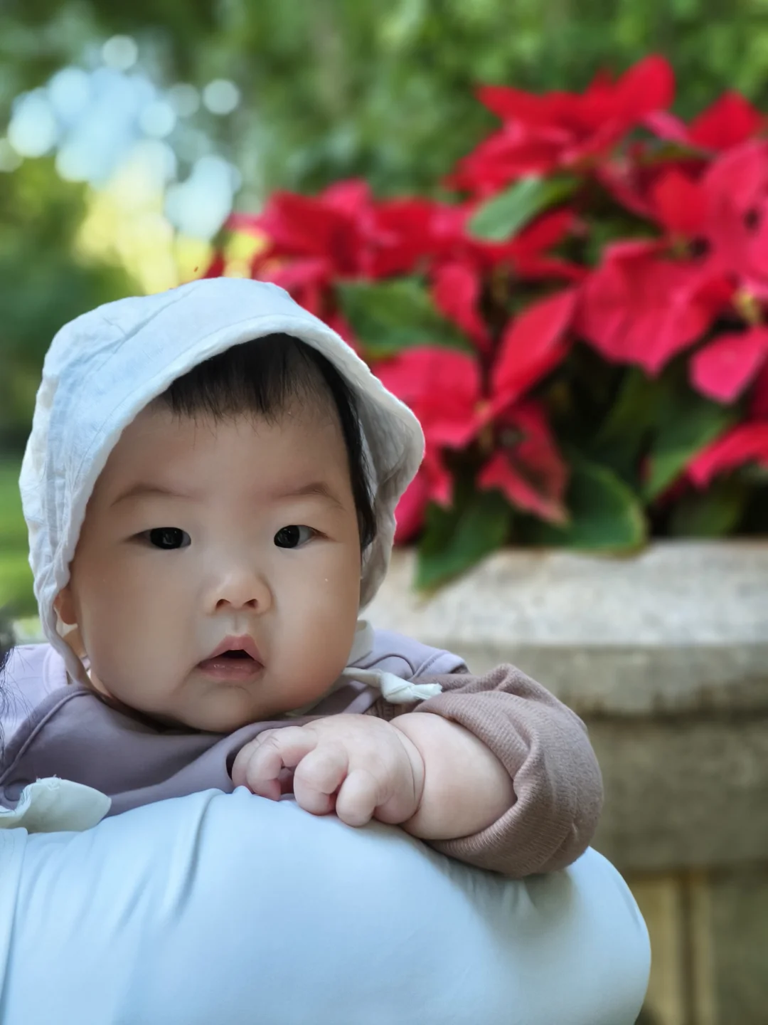 宝宝眼里的一叶知秋