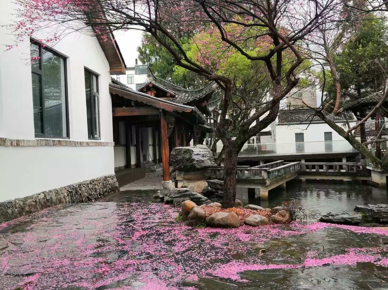 快来看看我新换的主页背景吧