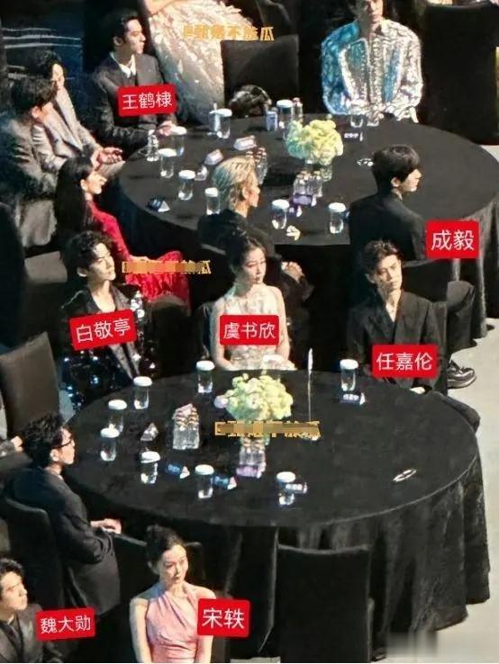 尖叫之夜红毯宋轶男友白敬亭一起出现的，不过两人一直在避嫌
现在交流的很少，晚会座