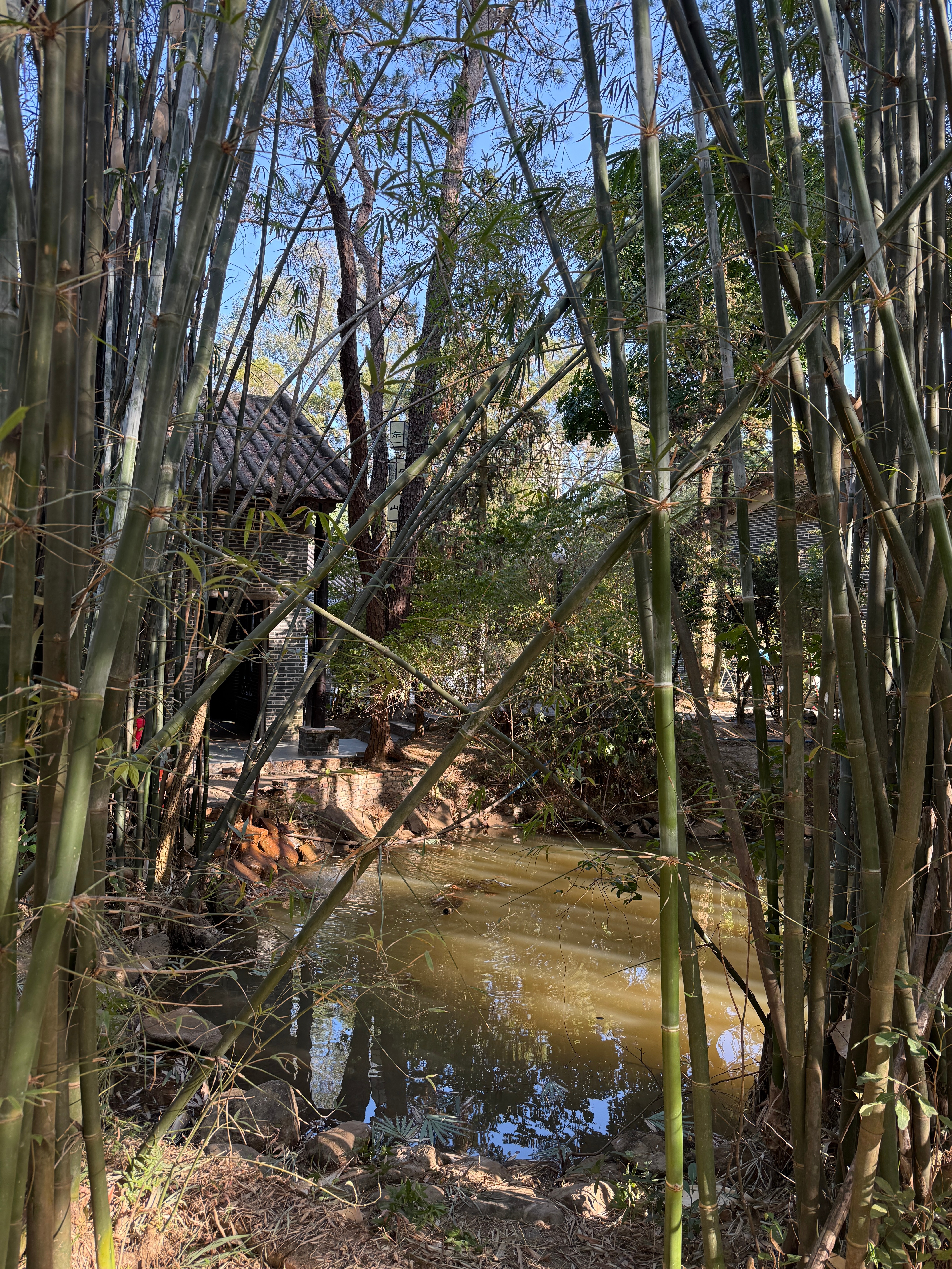 竹水呈祥翠竹摇金报平安，小屋炊烟暖岁添春池漾玉聚鸿运，锦鲤衔福入门来 