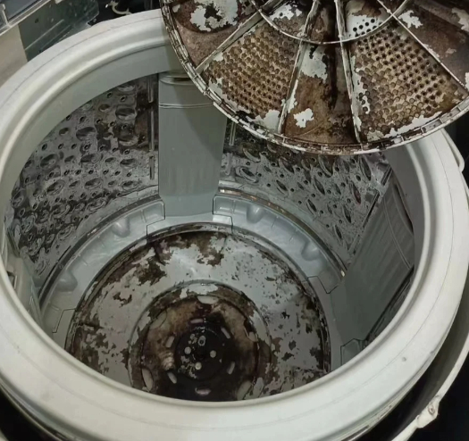 洗衣机里像紫菜的东西是什么 都是洗衣机里的脏东西，别这么形容啊，有点无法直视紫菜
