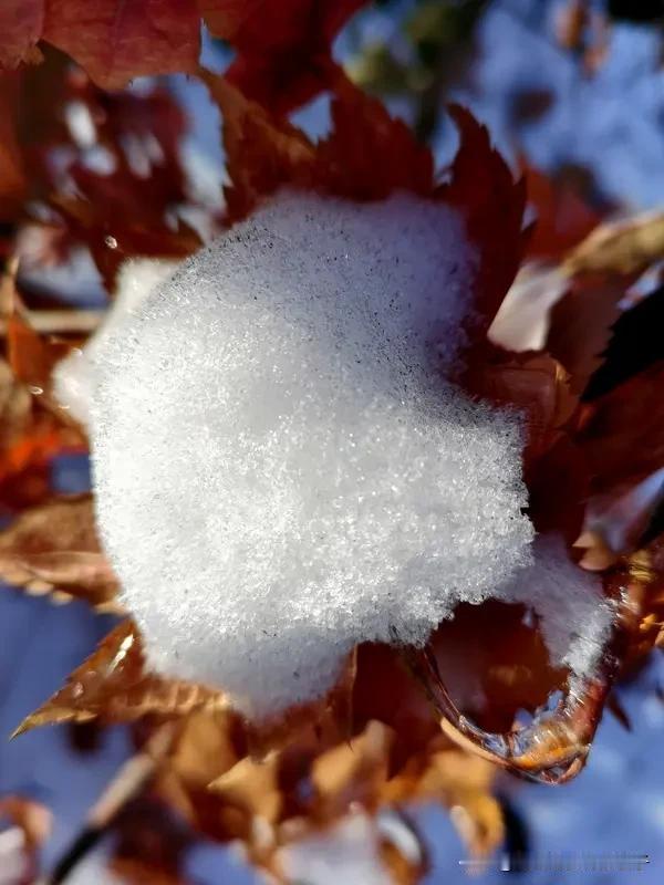 看到“初冬新雪鲜”求上联，这让我想到对对联得讲究对仗工整、意境相符。
从季节和景