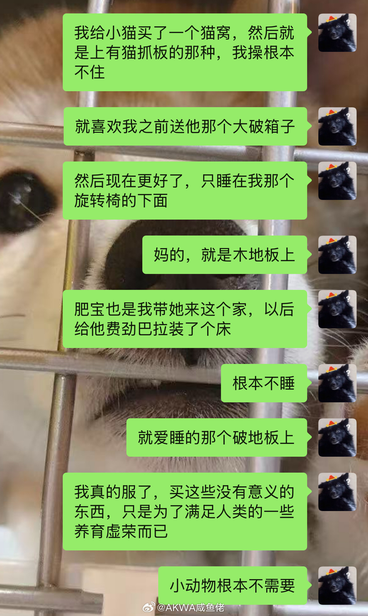 人类，停止感动自己📢 