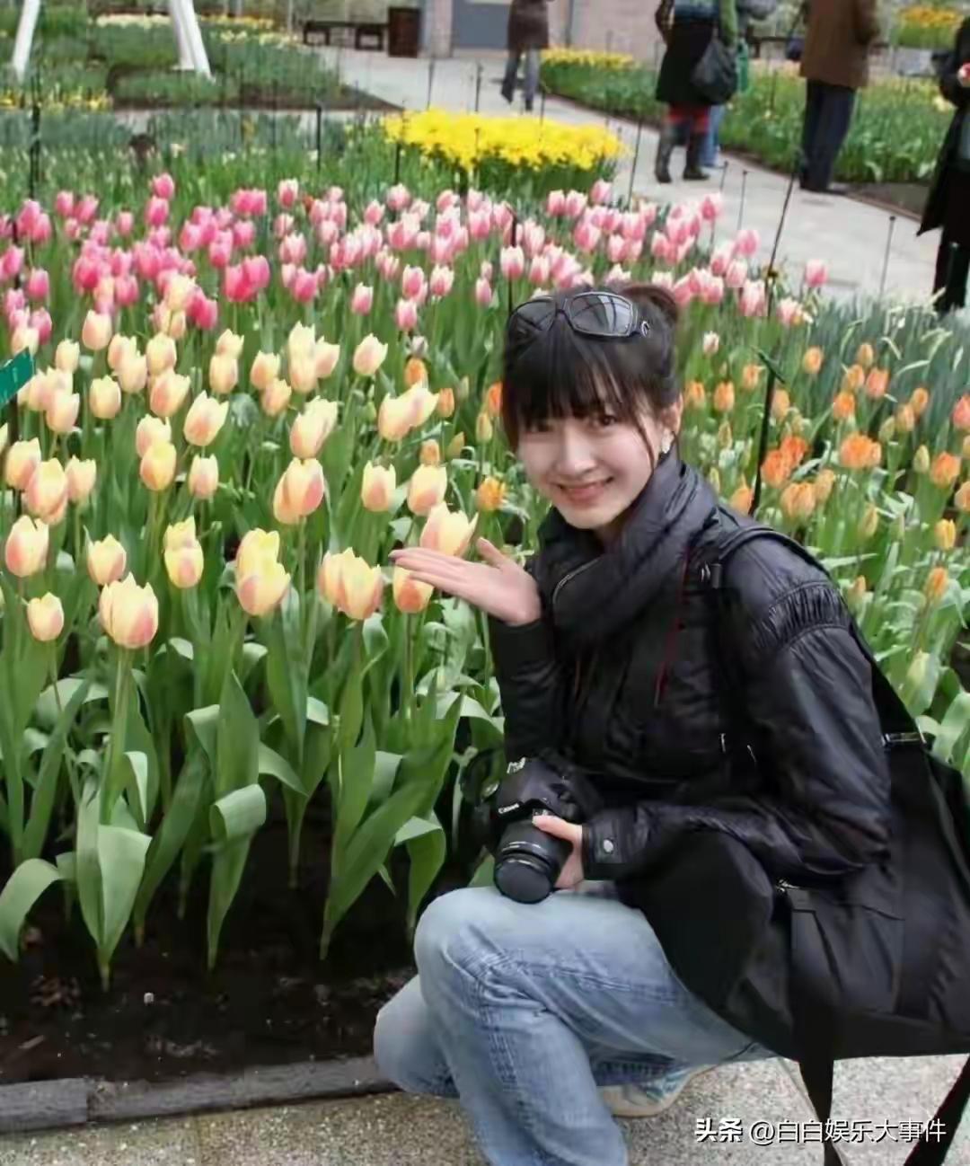 哪里美，你说说[玫瑰]