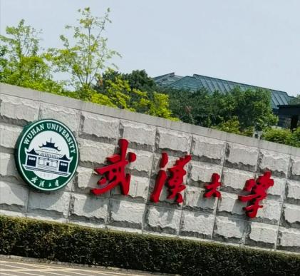 武大终于动手了


武汉大学最近撤销了一个博士的学位。
论文查重系统报警，
人工