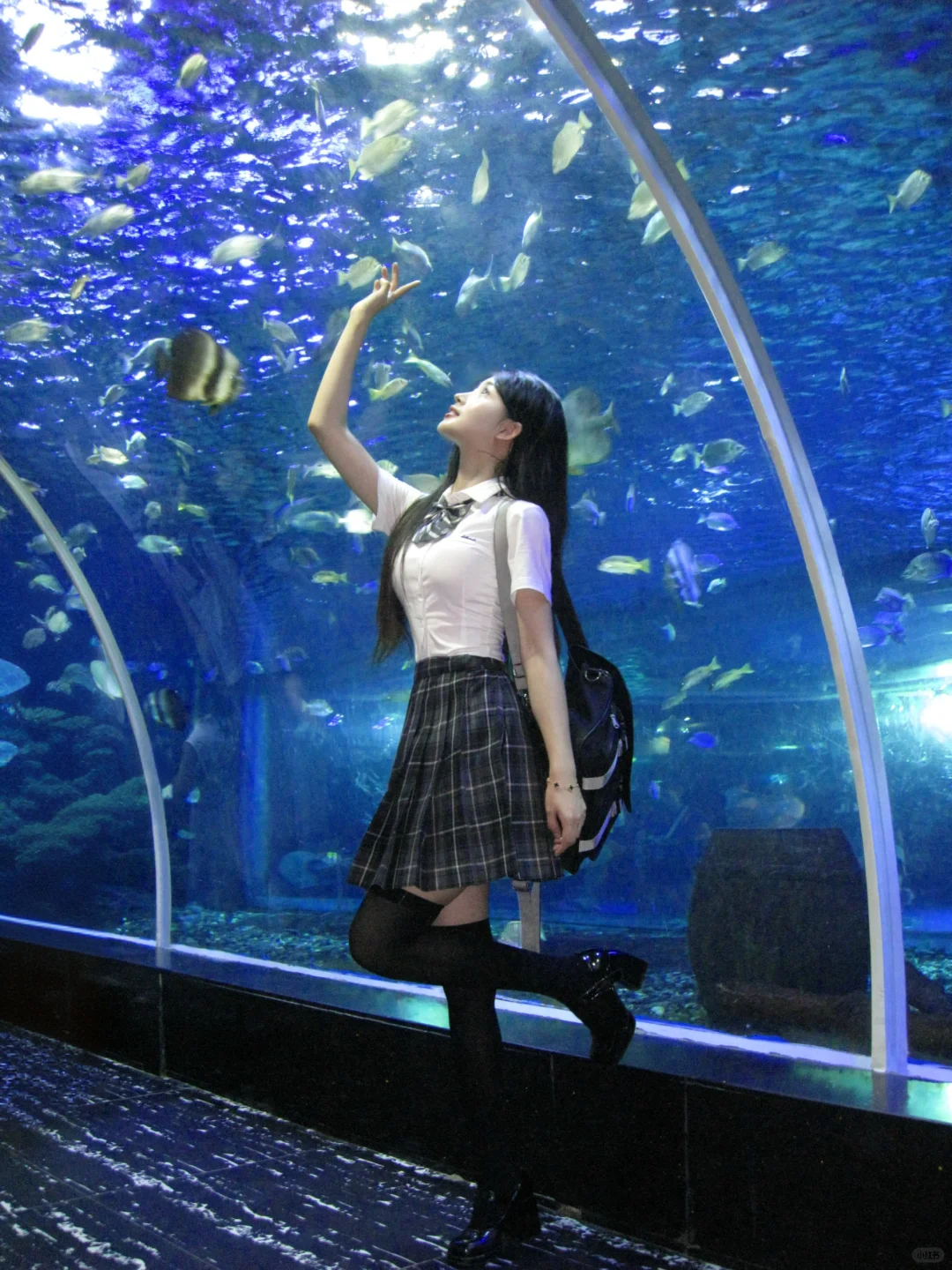 穿jk制服去海洋馆真的很有氛围感🐋