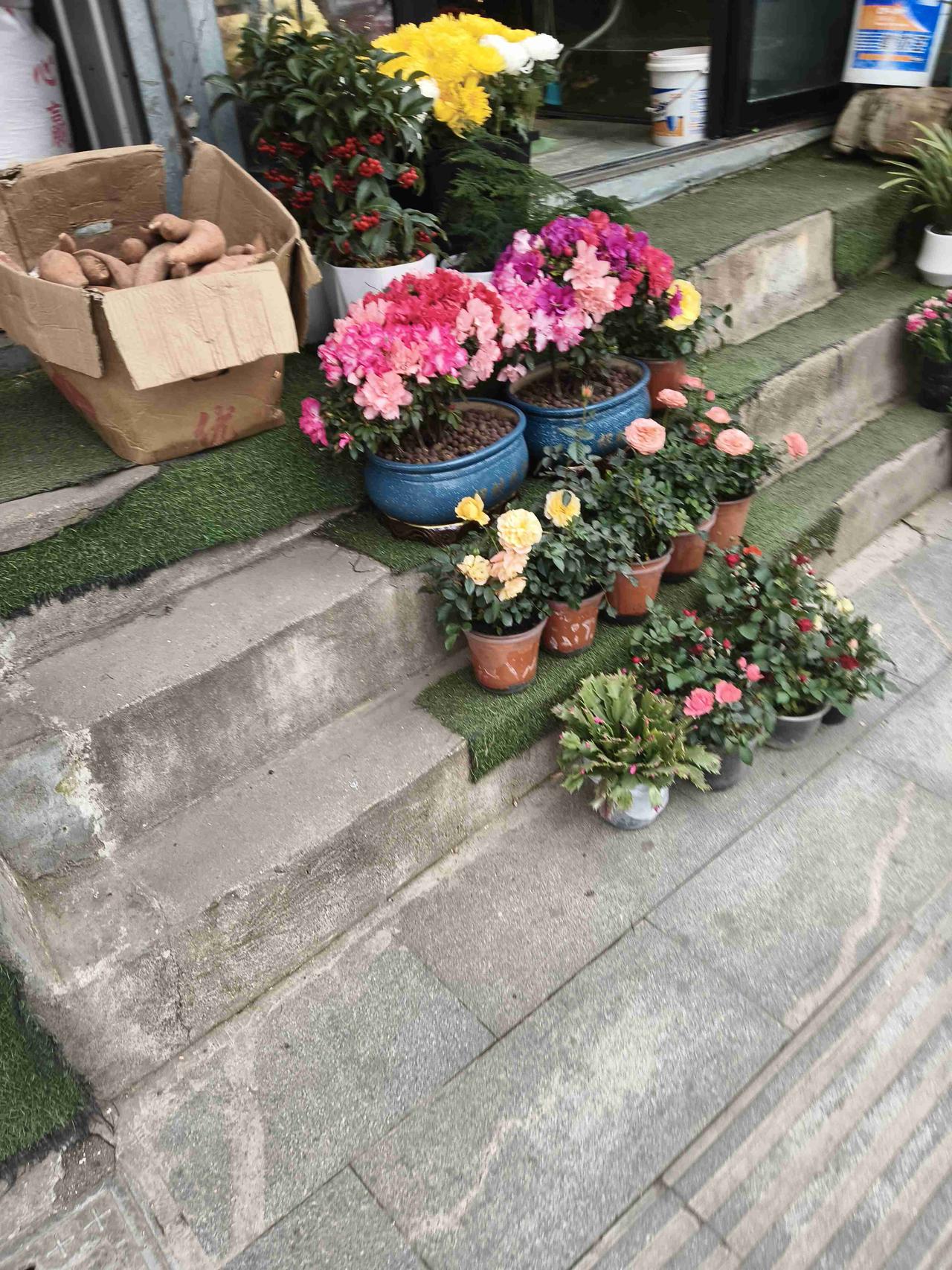 我的今日状态：😁轻松愉快
我这里的天气：☀️晴天