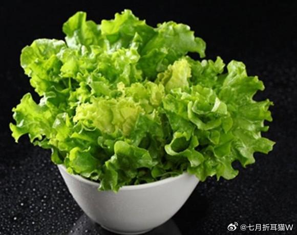 生菜是最伟大的蔬菜可以减肥吃，可以生吃，可以炒熟吃，口感不会发苦，绿叶蔬菜里的最