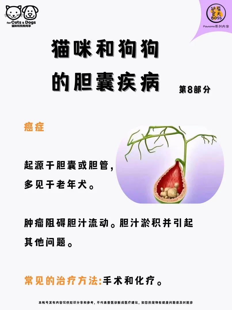 胆囊癌
