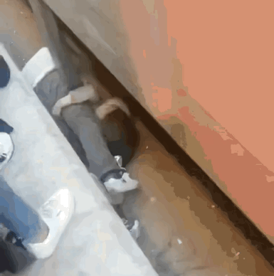 大灾大难面前能守护你的只有父母
​        视频中一小孩不慎掉入铁轨中，父