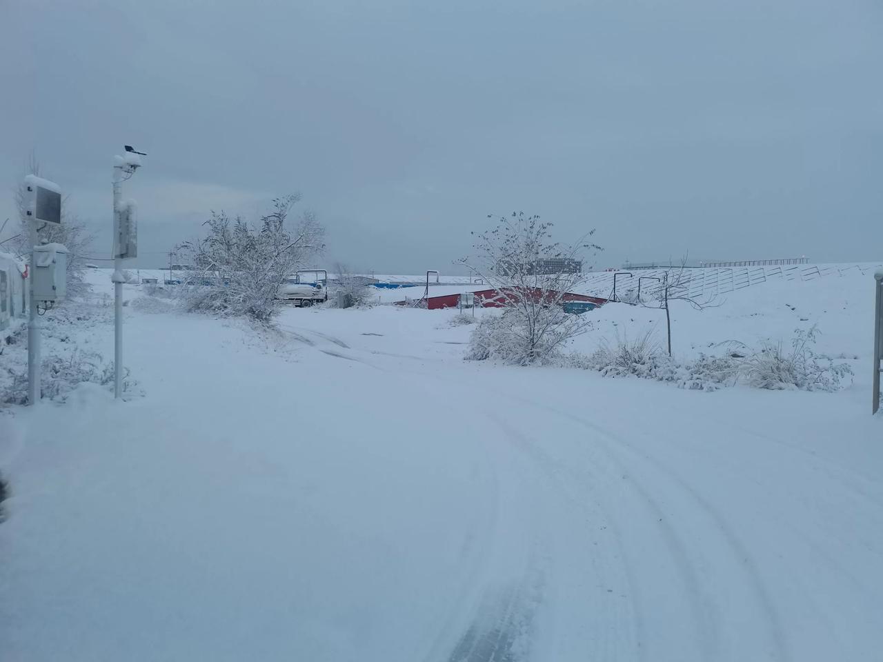 冬日生活打卡季