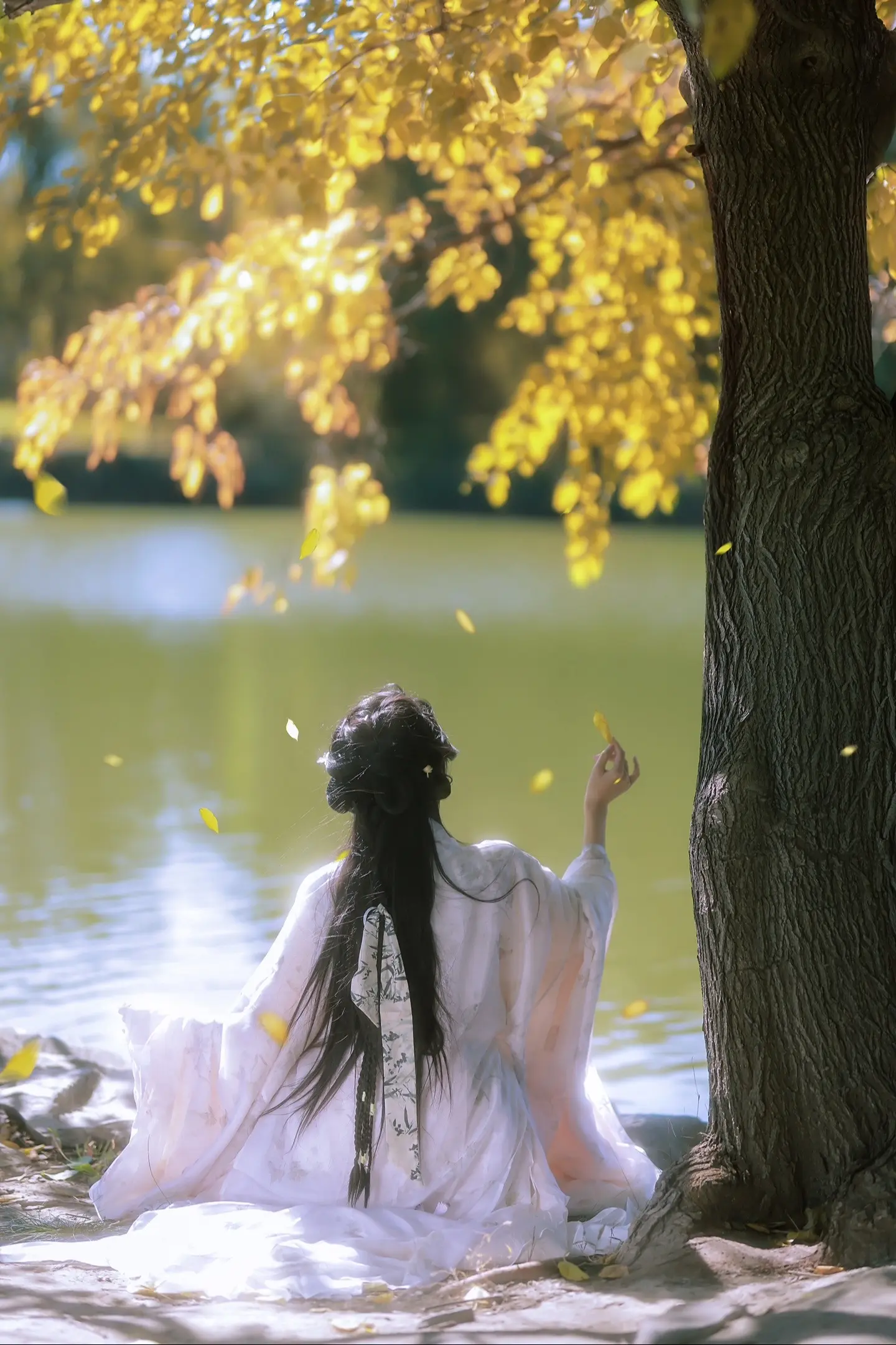 等花开，等叶落，等一年又一年……