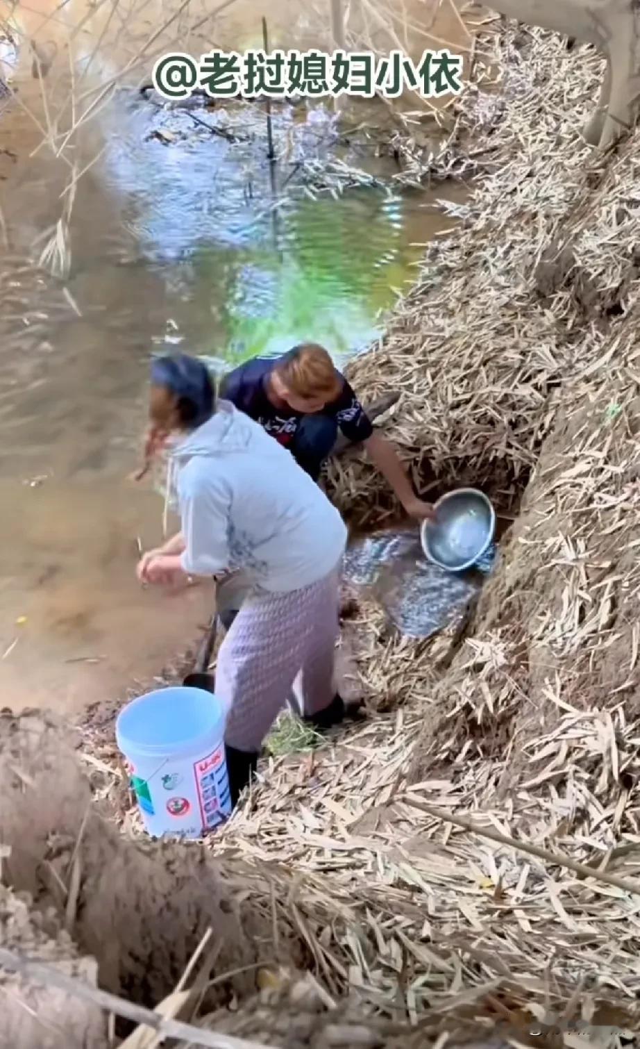 阿彪老挝大侄子阿托在双十一之前叛变了！
本来以为阿托这个单身狗要脱单不是一时两时
