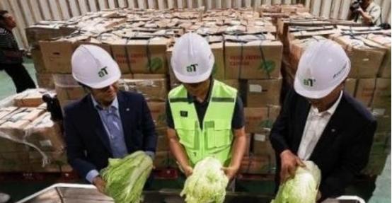 “中国要被我们拖垮了！”2024年，韩国上千人拒绝吃从中国进口的中国白菜，本想给