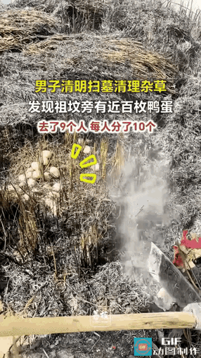 祖宗显灵了！”江西九江，一名男子趁着清明小长假，带着家人一同回乡给太公扫墓，一行