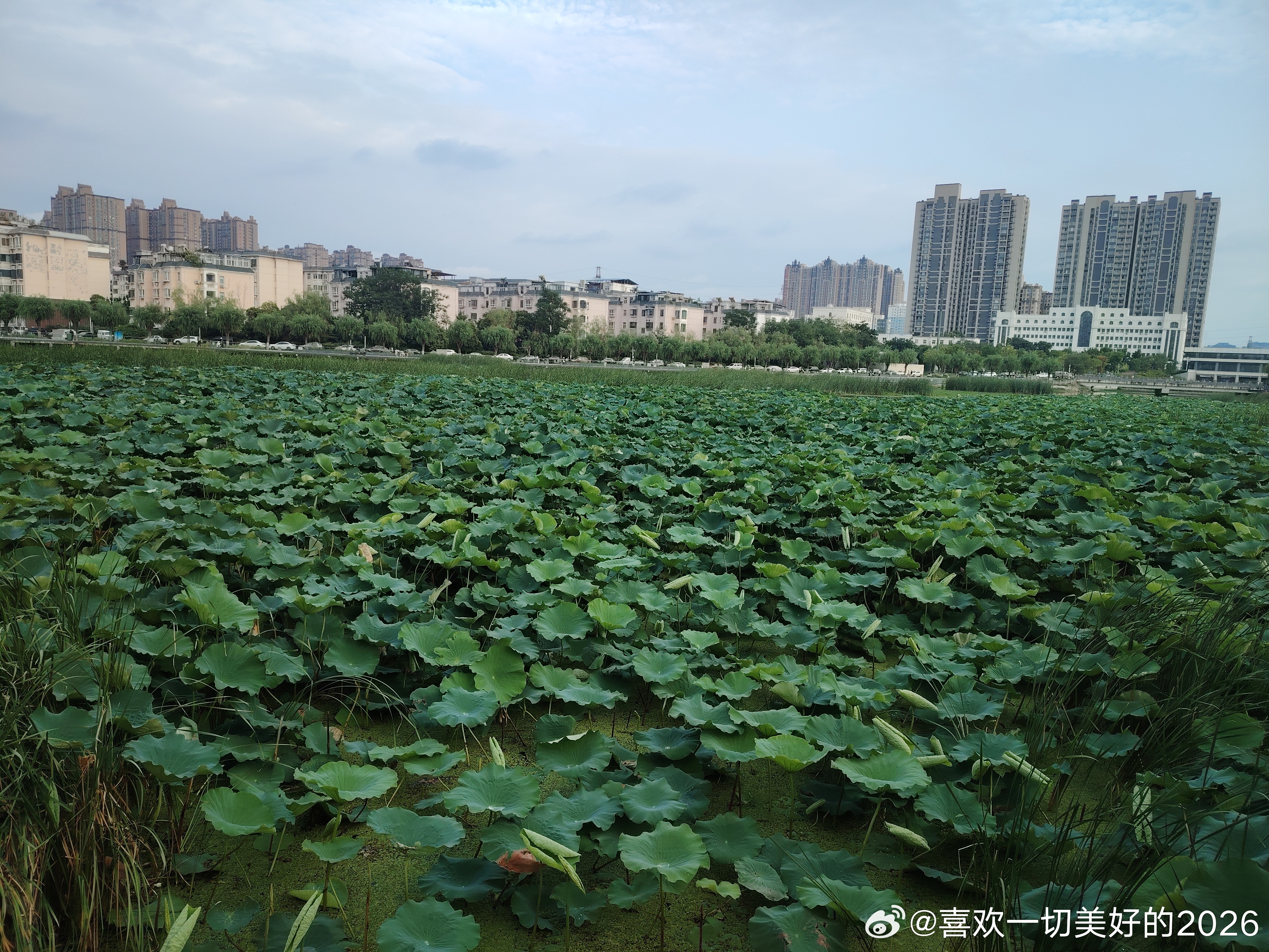跑河六公里 