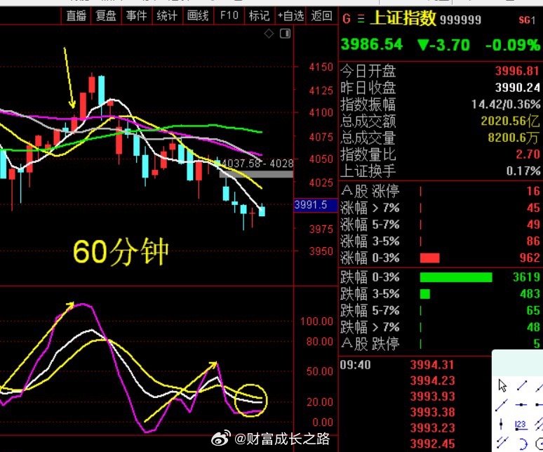 弱狗行情，控制好仓位，多看少！ 