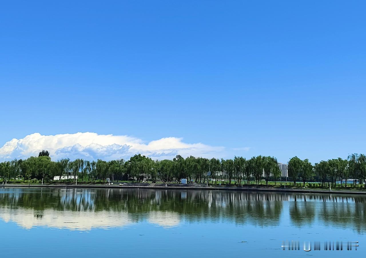 今年初夏的北京，像极了老舍先生笔下的“北平的秋”！老舍先生在文章中曾说过：北平之