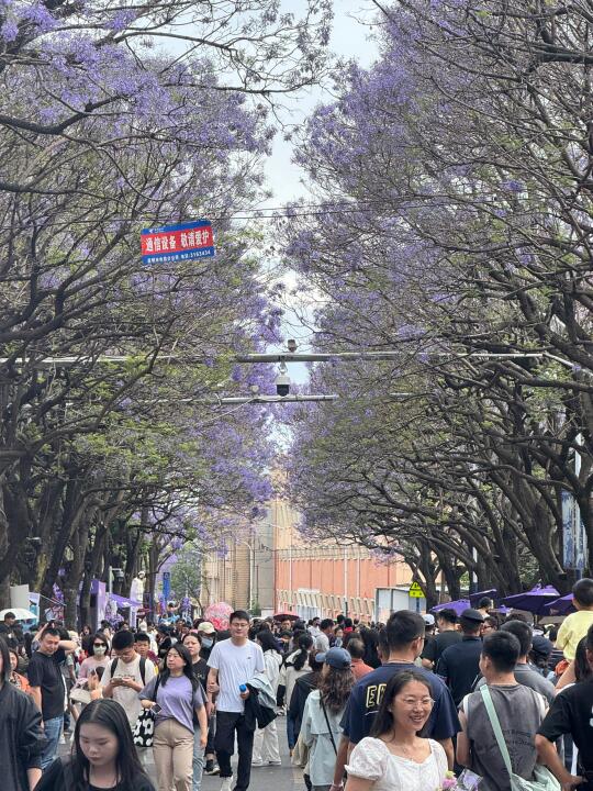 5.2 live实况 教场路 人从众！！