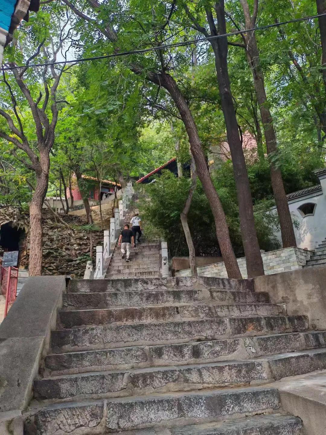 路遥知马力，日久见人心。
（韩联社）
石阶蜿蜒向上，两旁绿树成荫，阳光透过树叶洒