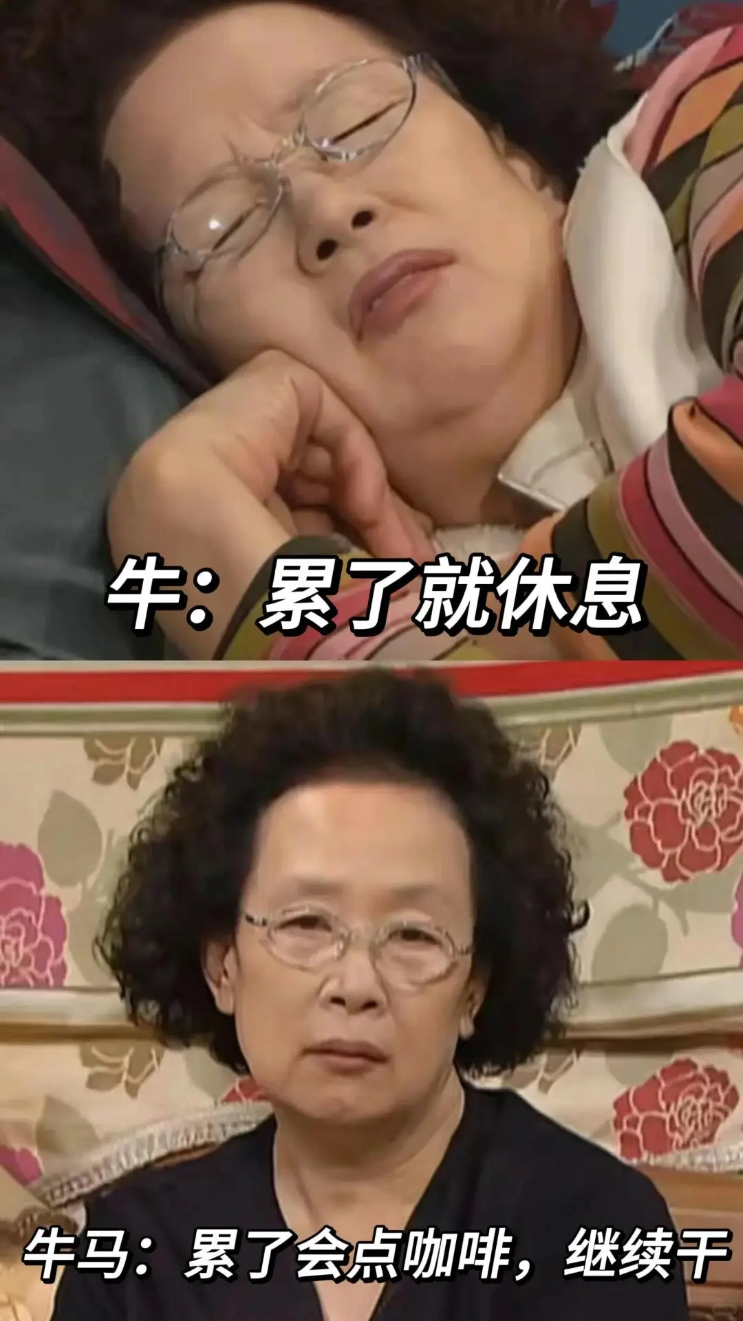 🐮🐎和当代打工人还是有区别的‼️