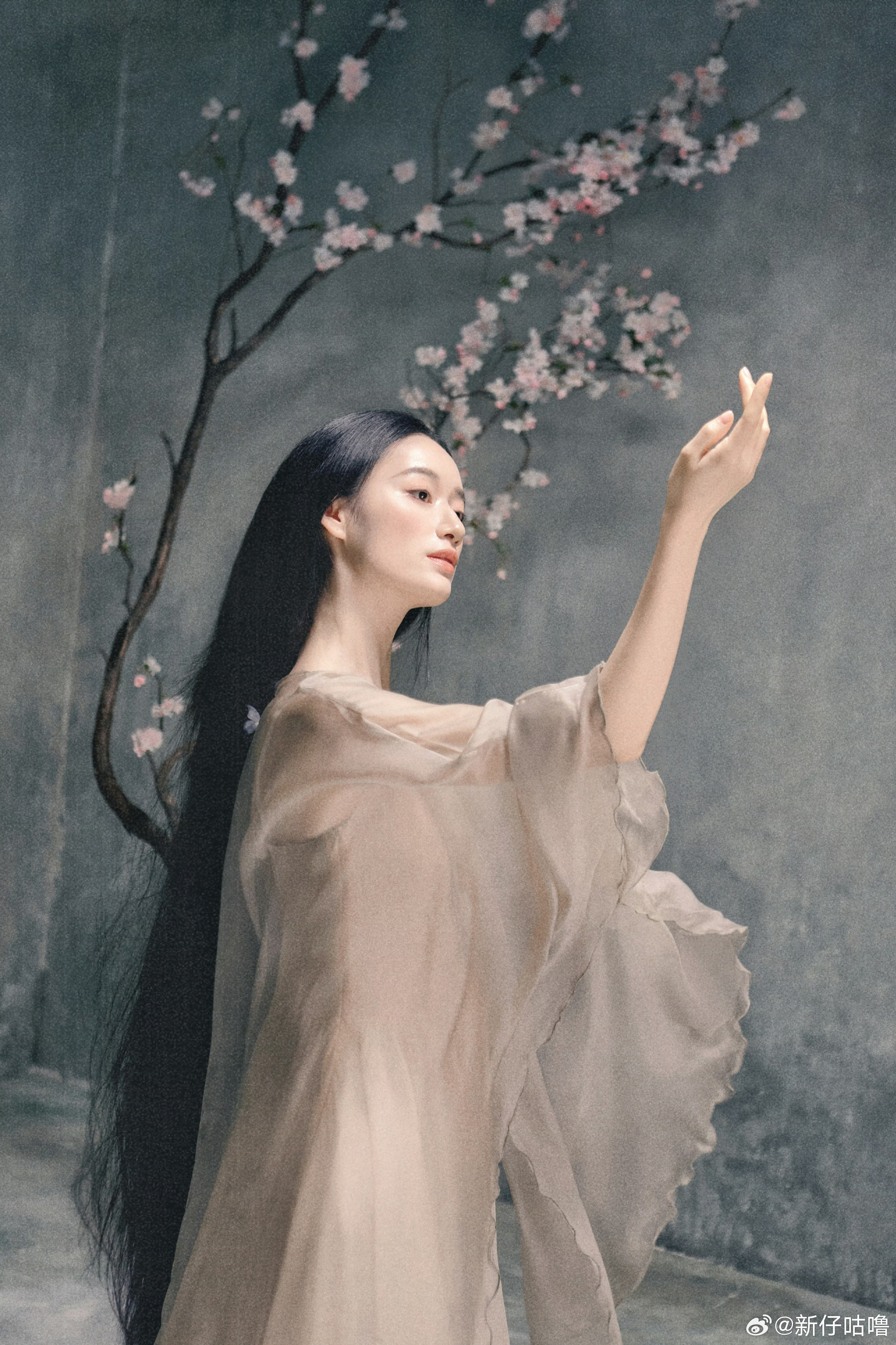 我第一次认识她，是《仙剑奇侠传三》里那只可爱的小土豆花楹，软软糯糯、灵气十足，那