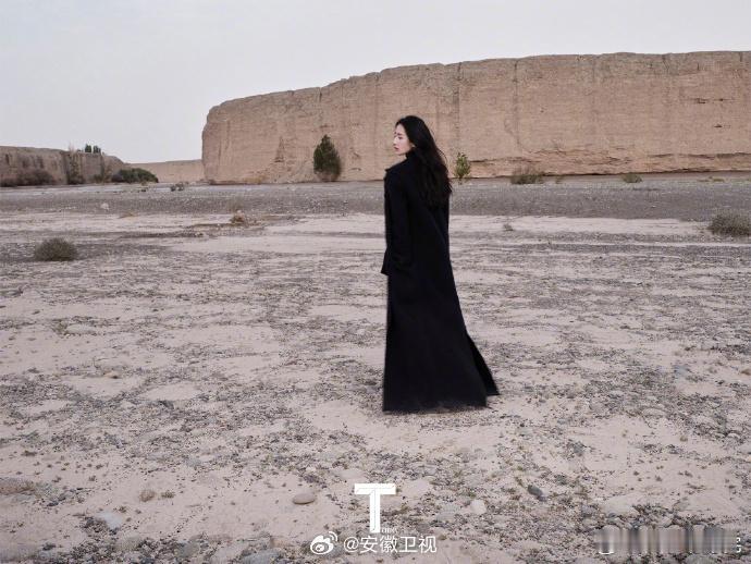 一部剧邀请公瑾兄和诗宝合作。目前还没有定下来，不是网上流传的《生命树》。接下来，
