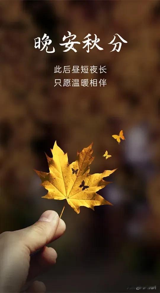 阳光温暖，落叶秋分，生活会有不期而遇的温暖，也会有如期而至的希望。
#秋日生活打
