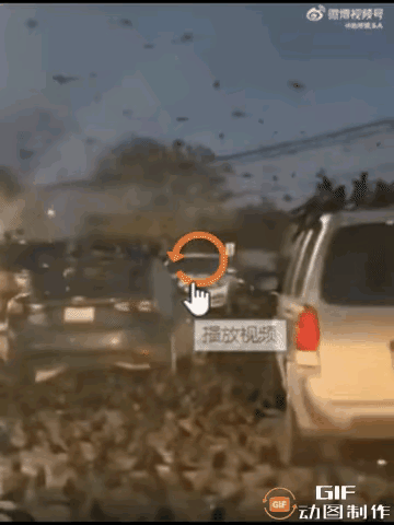 家人们谁懂啊！近日外媒报道，以色列特拉维夫上空出现罕见一幕，成千上万只乌鸦成群结