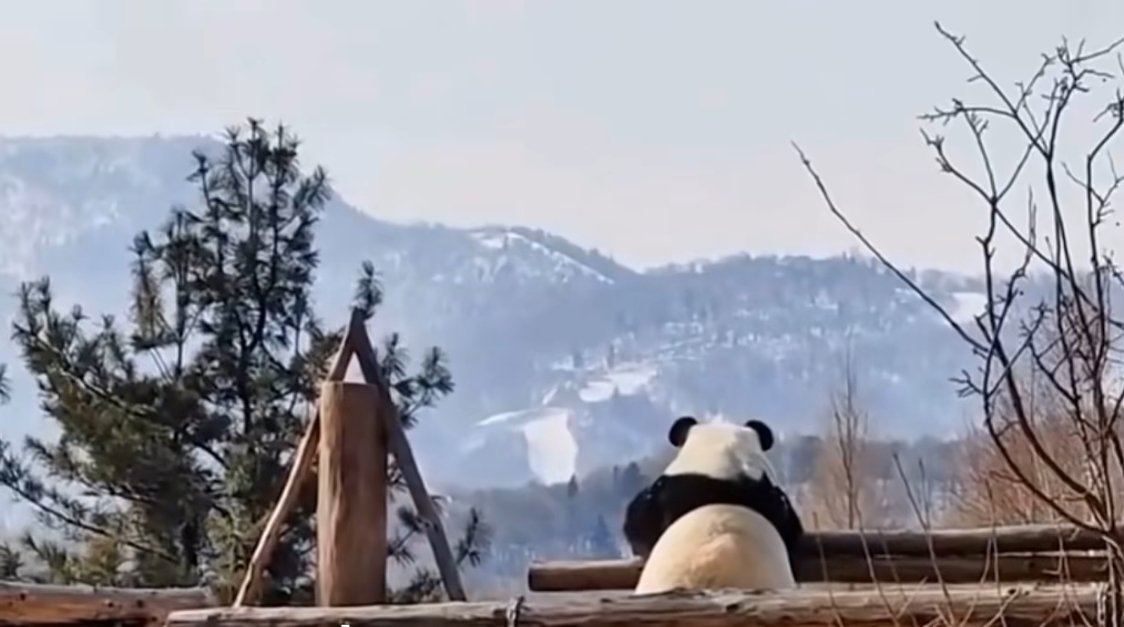 我以为我能认出来，结果认不出来了谁是谁了🥹🤣 